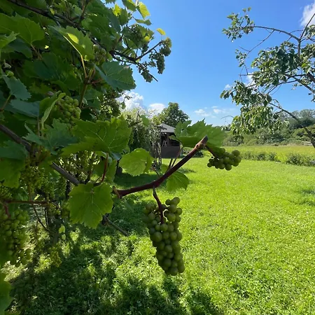 Am Wreecher Ferienhaus *